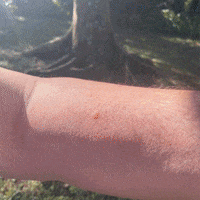 Shark Tank Suction GIF by Bug Bite Thing