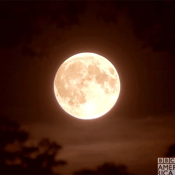 Full Moon Space GIF by BBC America