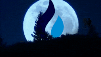 Dogecoin Gif By Huobi