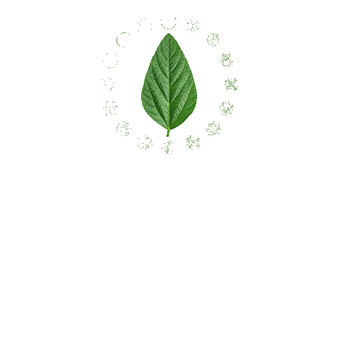 Soja Gera Sticker by BASF Soluções para a Agricultura