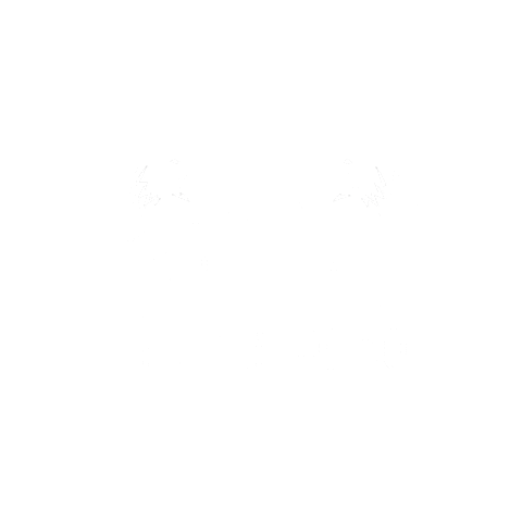bstrading Sticker