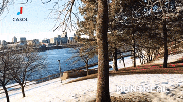 200.gif?cid=fc005b08270b77913f04197d9f6eb5016128c8a50a92d237&rid=200.gif&ct=g