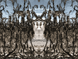 Movimiento GIF