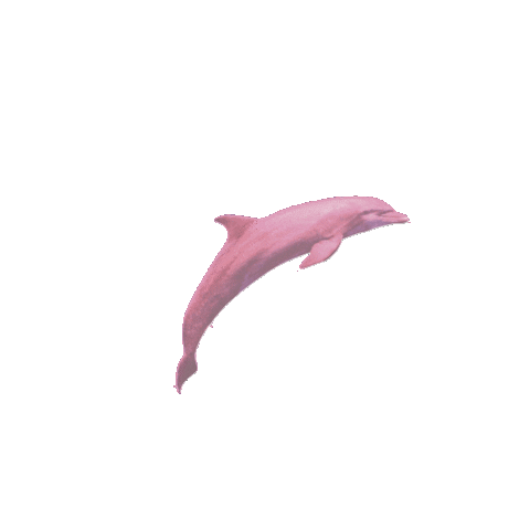 Poolside Sticker