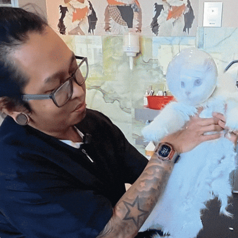 Cat Kitty GIF by BaileyCatCo