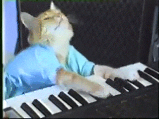 giphy.gif?cid=790b76117741995cfd9fd8414f7b1e086ef7b3326bdd9346&rid=giphy.gif&ct=g