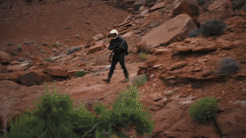 Ride GIF