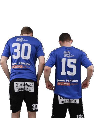 Handball Sticker by HSGSpradow