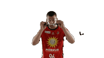 Handball Skibrille Sticker by tusnluebbecke