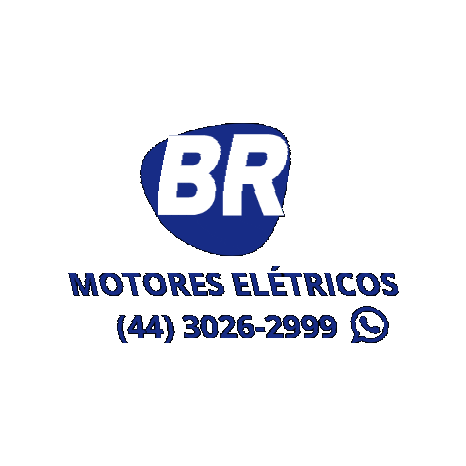 Br Motores Elétricos Sticker