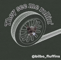 Bilbofluffins GIF