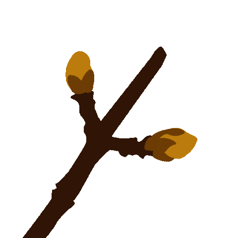 Dirndltal Sticker by pielachtal