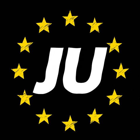 Europa Ju GIF by Junge Union Deutschlands