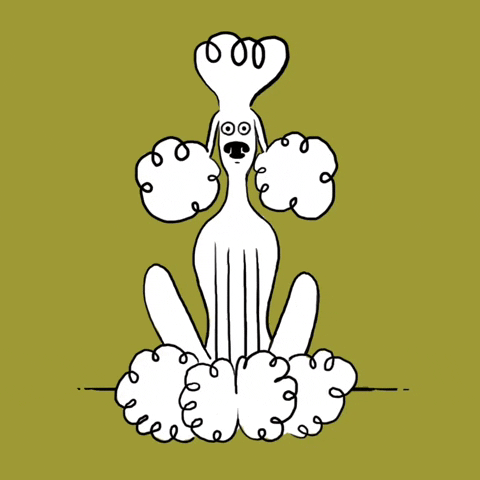 Dog Hair GIF by mariemainguy