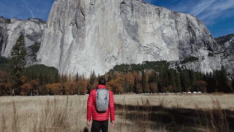 El Capitan Rock Climbing GIF by Madman Films - Find & Share on GIPHY