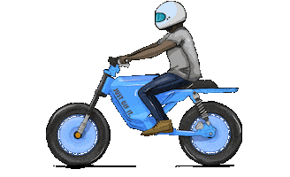 Racing Bike Sticker by kneapolitan