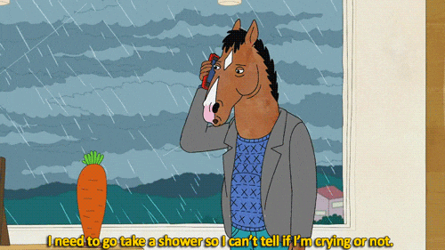 sad bojack horseman GIF - sad bojack horseman GIF