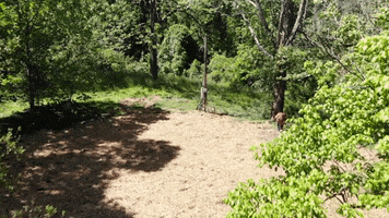 Seed Straw GIF by JC Property Professionals
