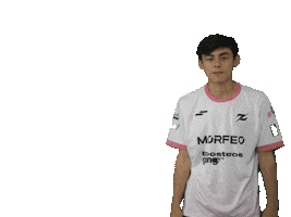 7z Esports Sticker