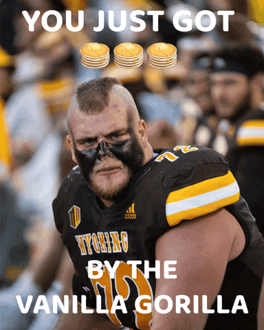Chicago Bears Football GIF