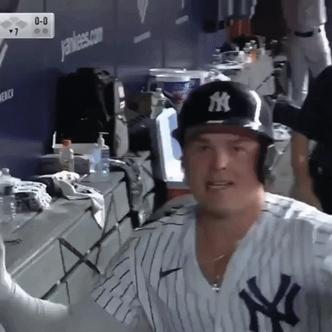 Luke Voit Yankees GIF by unhingedclothing