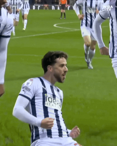 GIF by West Bromwich Albion