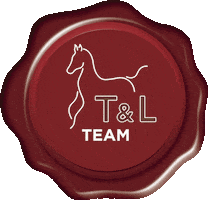 Tl Sticker by My Horse Dealer