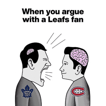 Toronto Maple Leafs Nhl GIF