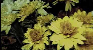 Inside My Brain Pictures GIF by Vacation Forever