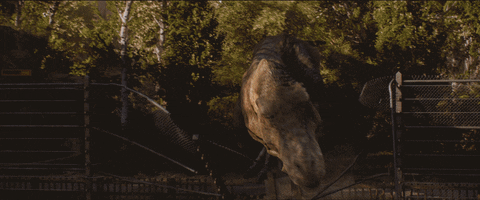 Lion Wow GIF by Jurassic World - Find & Share on GIPHY