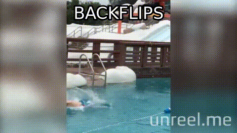 flirting memes gone wrong gif video app video flirting memes gone wrong gif video app video