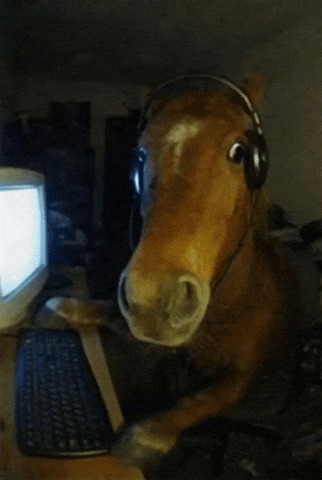 Horse GIF