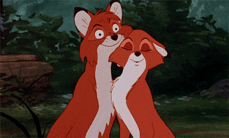 foxes cuddling GIF