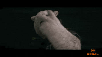 Watching I See You GIF by Regal