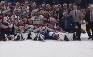 Stanley Cup Oops GIF