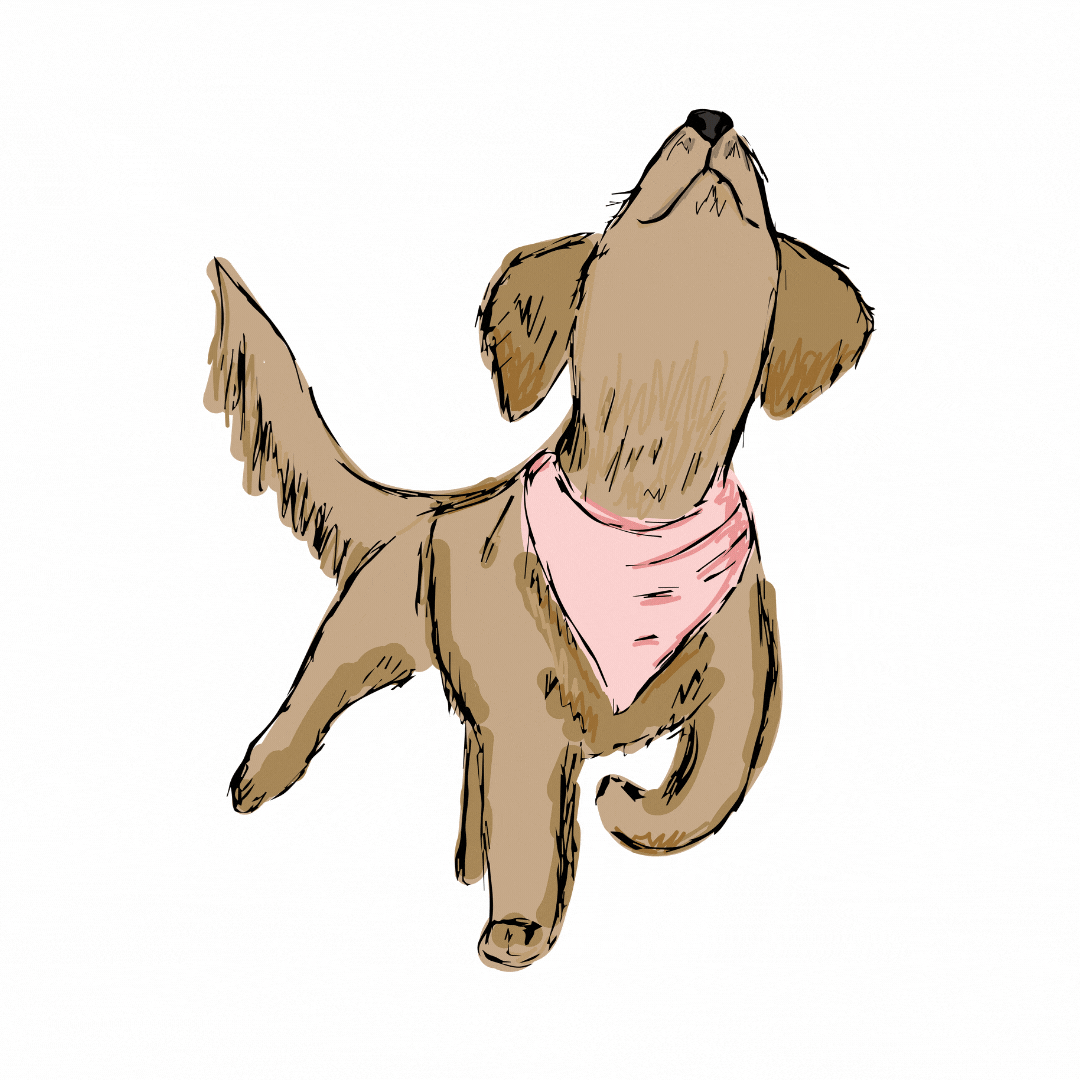 Tails Up GIFs Get the best GIF on GIPHY