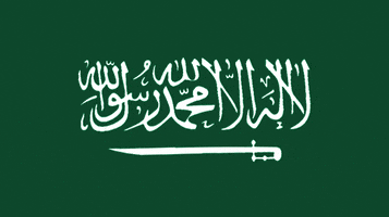 Saudi Arabia Flag GIF by tzceer