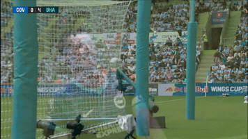 Lewis Dunk Football GIF