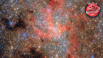 Milky Way Universe GIF by ESA Webb Space Telescope