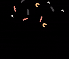 Champagne Confetti GIF by Junipr Design