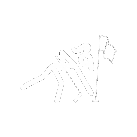 Hole In One Golf Sticker by marie birdie sport