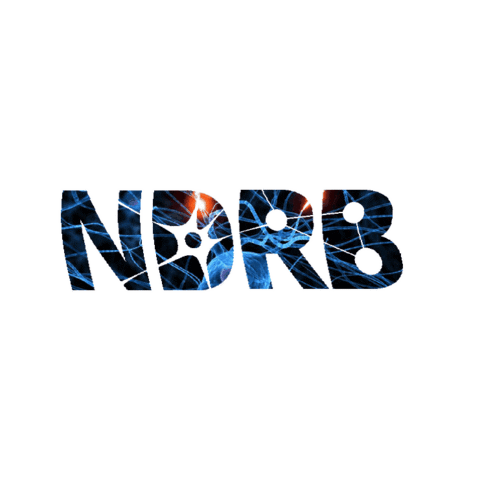 UTSA NDRB Sticker