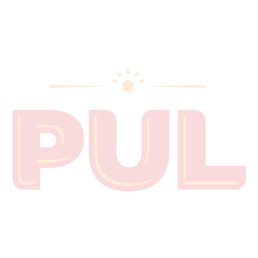 Carne Churrasco Sticker by Minerva Foods