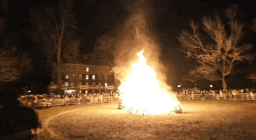 Go Tigers Bonfire GIF by Princeton University