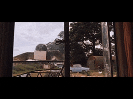 Owl GIF