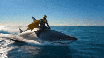 Sun Sea GIF by CaptainBNB