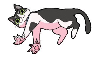 Cat Playing Sticker by Danchhichi