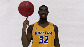 Basketball GIF by Hofstra Pride