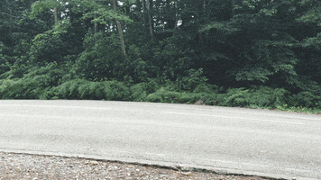 auto-express ferrari ferrari 488 ferrari 488 spider GIF