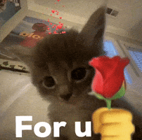 For U GIF
